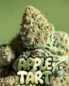 Apple Tart strain cannabis buds by Supernatural Seeds UK