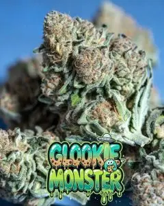 glookie monster strain close -up of dense, frosty cannabis buds of the strain Glookie Monster seeds, covered in a thick layer of sparkling white trichomes with bright orange pistils weaving through vibrant green and subtle purple-tinged foliage. Multiple chunky colas are shown against a blue background. Overlaid is a bold, dripping cartoon-style text graphic reading “GLOOKIE MONSTER” in a fun gradient font from teal to green, with brown cookie-like spots, green slime drips, sparkles, a small UFO, and a cute little cookie monster character peeking out from the letters.