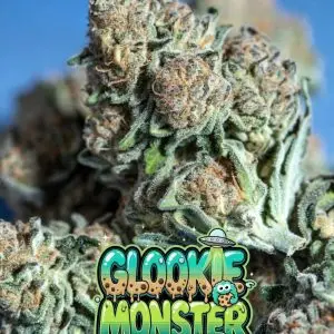 glookie monster strain close -up of dense, frosty cannabis buds of the strain Glookie Monster seeds, covered in a thick layer of sparkling white trichomes with bright orange pistils weaving through vibrant green and subtle purple-tinged foliage. Multiple chunky colas are shown against a blue background. Overlaid is a bold, dripping cartoon-style text graphic reading “GLOOKIE MONSTER” in a fun gradient font from teal to green, with brown cookie-like spots, green slime drips, sparkles, a small UFO, and a cute little cookie monster character peeking out from the letters.