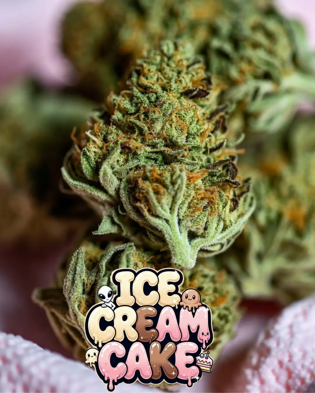 close up photo of ice cream cake cannabus nugs with sweet pink background