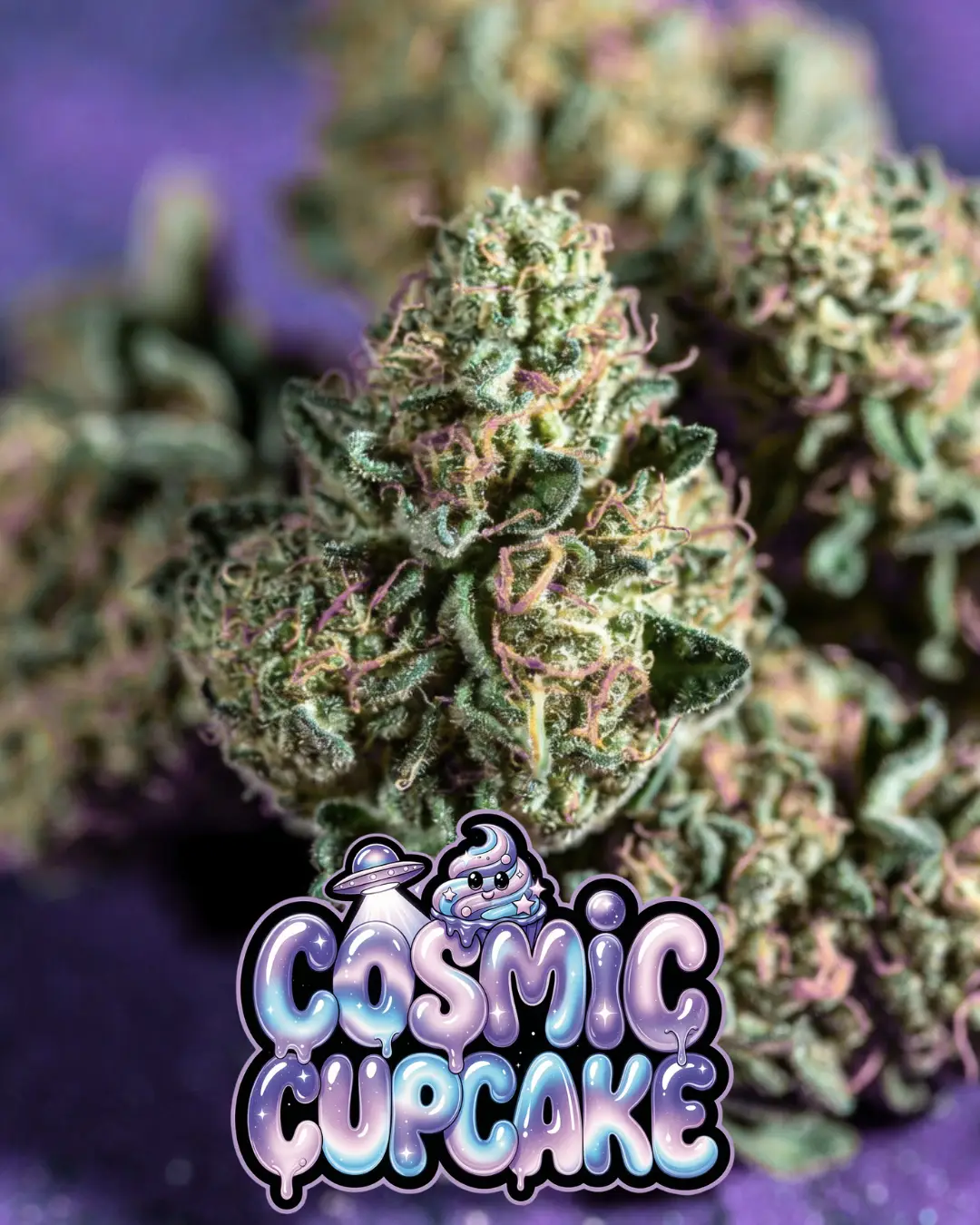 NEW Fast Autoflower Cannabis Seed Bundle | 8-9 Weeks - Image 4