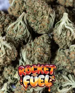 Close-up view of multiple dense, frosty cannabis buds of the Rocket Fuel strain, piled together, each covered in a thick layer of sparkling white trichomes and bright orange pistils. The nugs show vibrant green tones with some lighter green and subtle amber highlights. Overlaid is a bold, glossy, dripping cartoon-style text graphic reading “ROCKET FUEL” in a fiery orange-to-yellow-to-red gradient font with a wet, molten look, featuring glowing sparkles, dripping goo effects, a small UFO with an orange dome, a cute rocket-like alien character, and dynamic flame/launch trail accents.