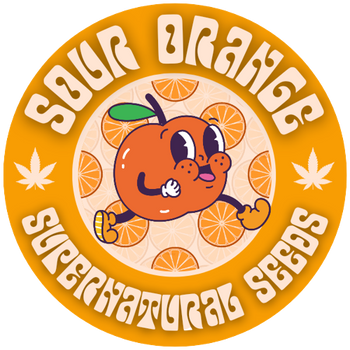 sour_orange_mascot