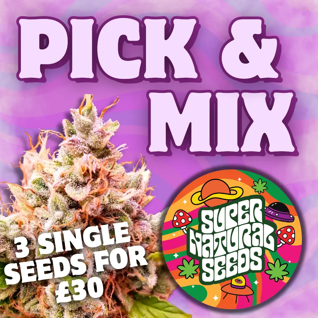 Cannabis Seed Pick n Mix U.K | Supernatural Seeds Premium Cannabis Seeds