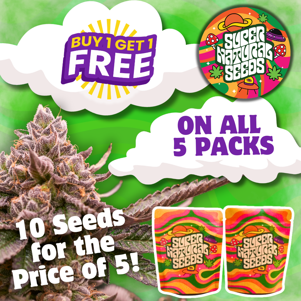Buy one get one free on cannabis seeds.