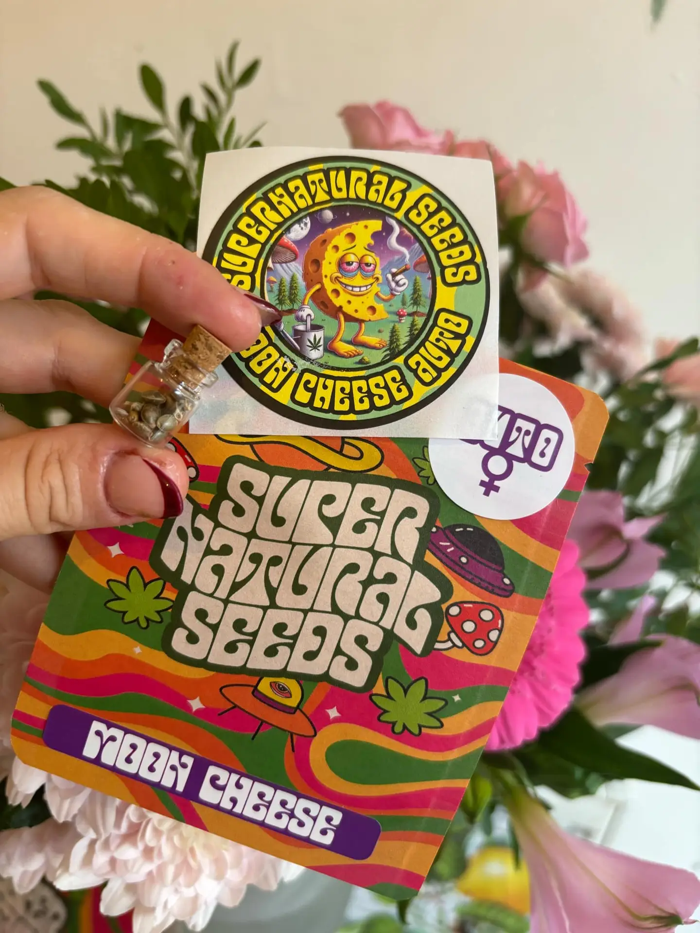 Moon Cheese Auto strain supernatural seeds