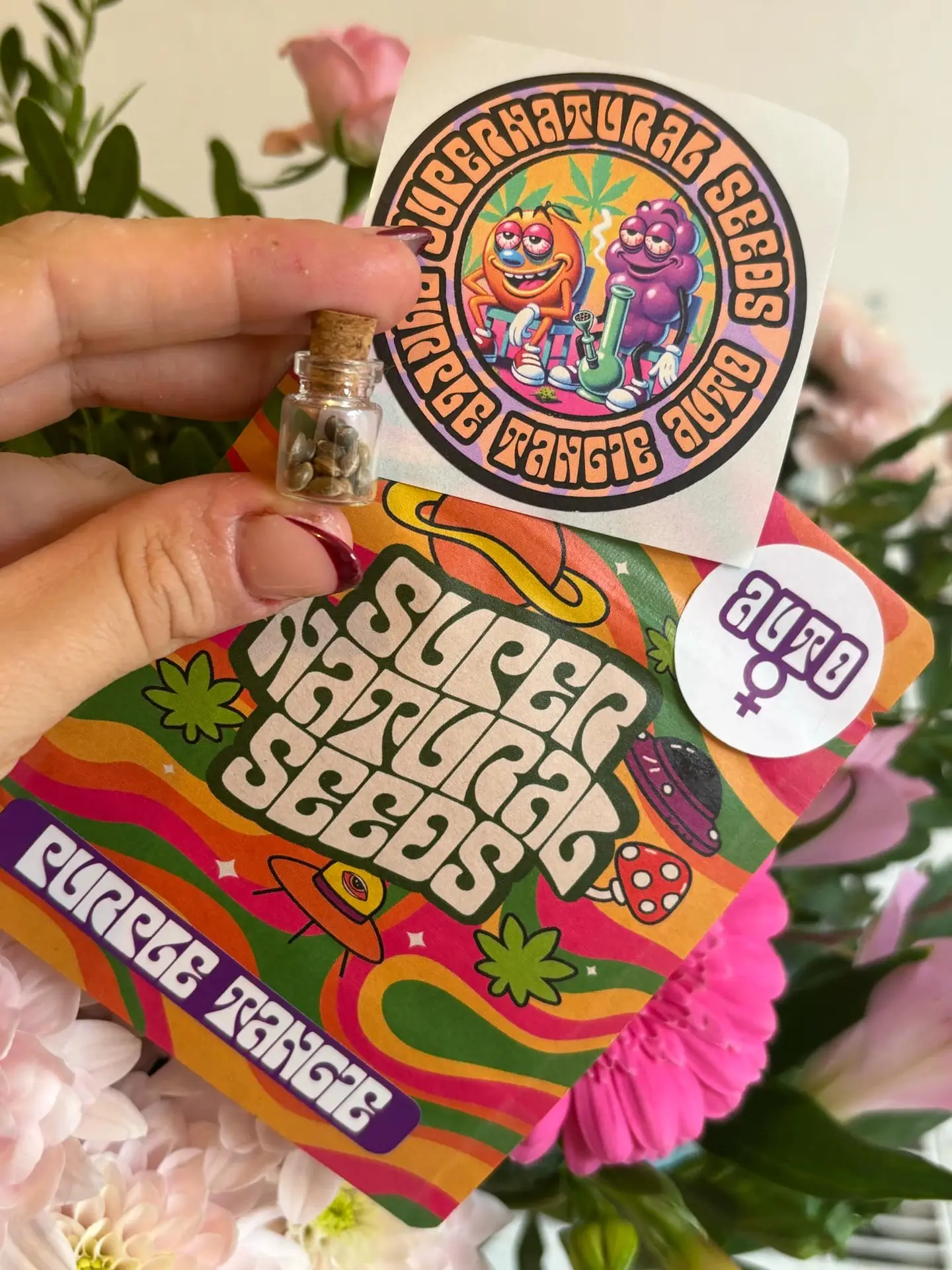 Purple Tangie Auto strain supernatural seeds