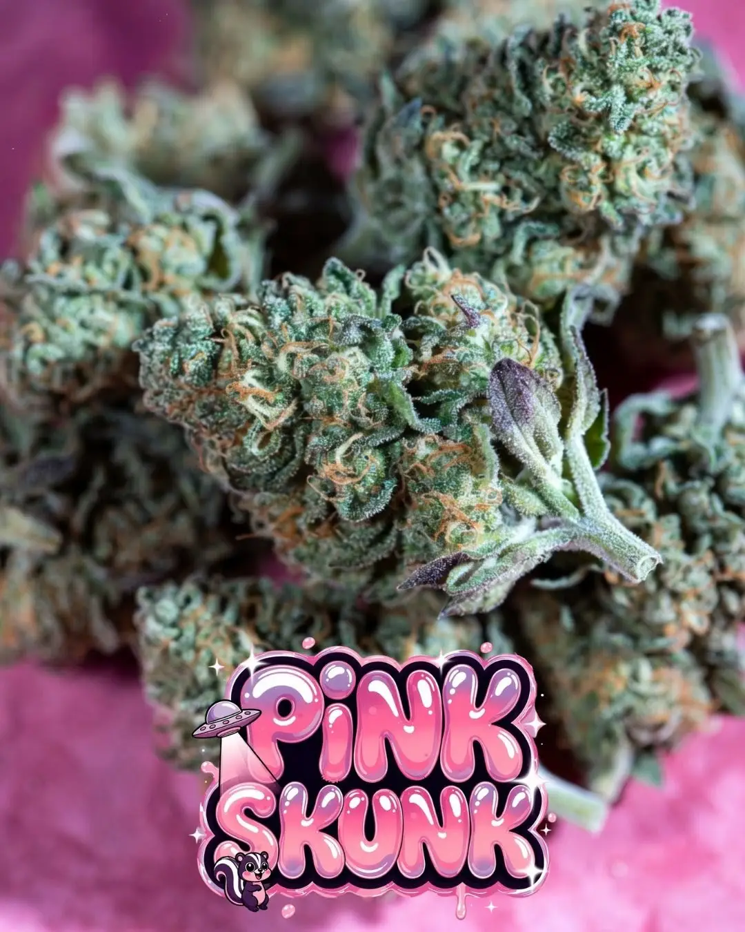 Buy Beginner-Friendly Cannabis Seed Starter Pack | Supernatural Seeds - Image 18