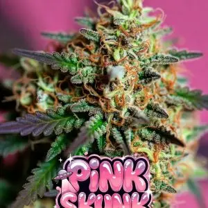 Pink Skunk cannabis seeds strain graphic: frosty purple-green bud with heavy trichomes and orange hairs on hot pink background, featuring shiny dripping "PINK SKUNK" text overlay, UFO, and cute skunk character with sparkles.