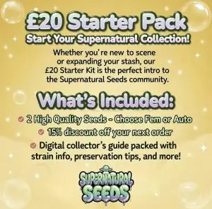 Bright promotional graphic for Supernatural Seeds £20 Starter Pack on a golden-yellow background with floating soap-bubble effects. Large bold headline in green and purple bubble-style text reads “£20 Starter Pack – Start Your Supernatural Collection!”. Below is explanatory text inviting new and existing collectors to join the community. A highlighted section titled “What’s Included” lists in bullet points: • 2 High Quality Seeds – Choose Fem or Auto • 15% discount off your next order • Digital collector’s guide with strain info, preservation tips, and more At the bottom is the colorful, dripping cartoon logo “SUPERNATURAL SEEDS” in a teal-to-purple galaxy gradient with a small UFO and slime effects.
