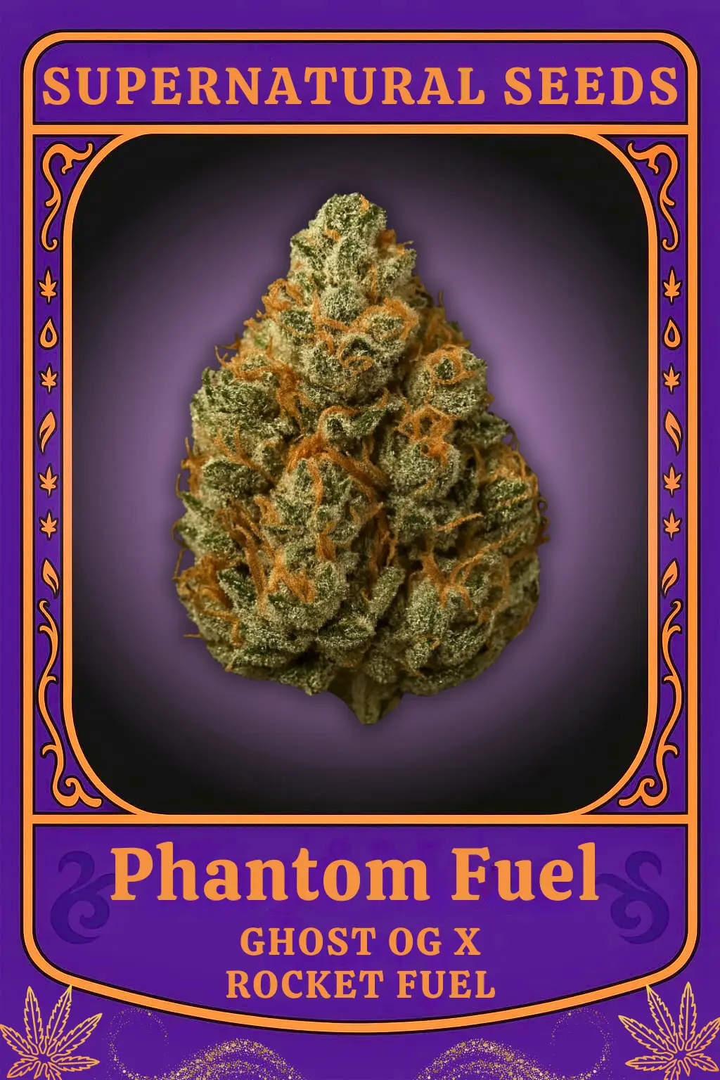 Phantom Fuel – Halloween Cannabis Strain | Limited Edition Strain (Ghost OG x Rocket Fuel) - Image 2