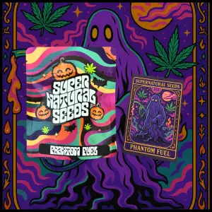 Supernatural Seeds Phantom Fuel Limited Edition Halloween Cannabis Strain 2025 Limited Edition Cannabis Seeds