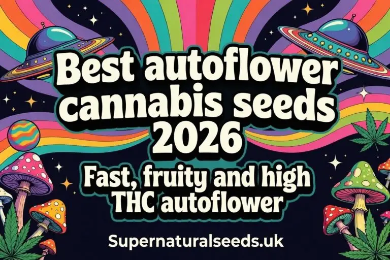 best autoflower cannabis seeds uk