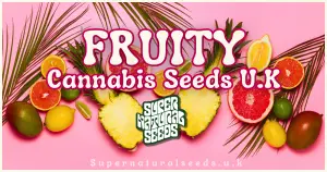 Fruity Cannabis Seeds UK banner with tropical fruit and Supernatural Seeds branding
