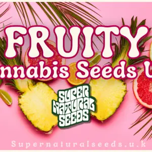 Fruity Cannabis Seeds
