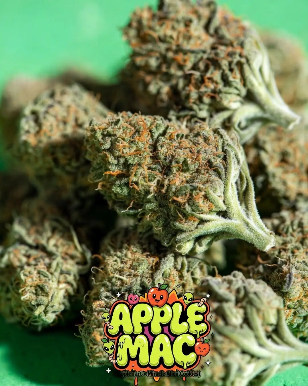 Pile of Apple MAC strain buds – vibrant green frosty nugs with orange pistils and resinous trichomes, fruity gassy hybrid souvenir seeds from Supernatural Seeds UK