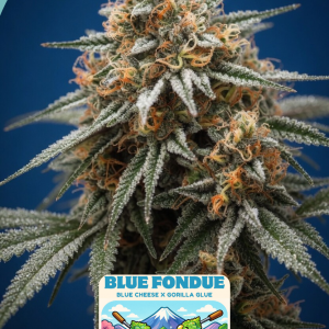 BLUE FONDUE CANNABIS SEEDS