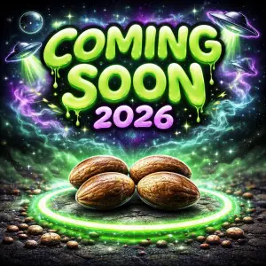 coming soon cannabis seeds 2026 new strains supernatural seeds autoflower feminized