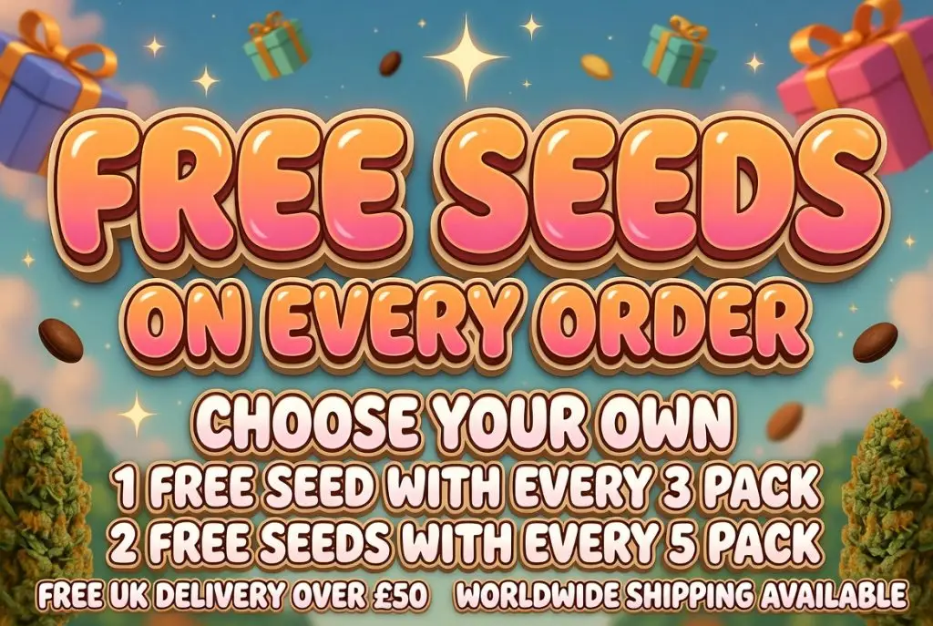Playful cartoon-style promotional banner with vibrant pink, orange, and purple gradients and glossy 3D bubble text. Bold headline reads “FREE SEEDS ON EVERY ORDER – CHOOSE YOUR OWN”. Offers: 1 free seed with every 3-pack, 2 free seeds with every 5-pack. Features two realistic frosty cannabis buds on the sides, floating gift boxes, sparkles, and subtle fun elements. Bottom text: Free UK delivery over £50 and worldwide shipping available. Fun Supernatural Seeds UK promotion.
