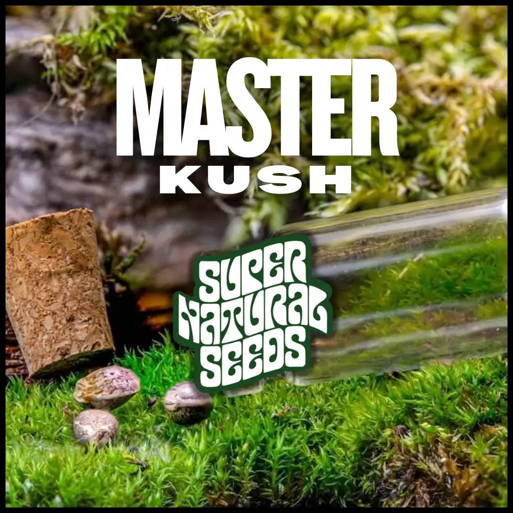 master kush strain cannabis seeds genetic preservation