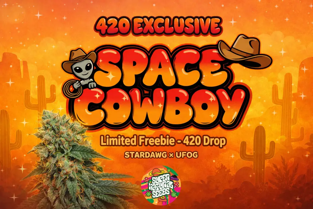 space Cowboy strain UK 420 exclusive banner with cannabis bud, desert background and limited freebie seeds offer from Supernatural Seeds