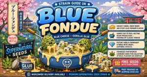 blue fondue strain guide for blog showing cheese fondue with cannabus nugs being dipped in, boxes of information about the strain on the side