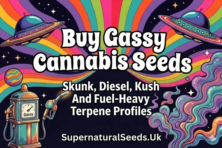 buy gassy cannabis seeds
