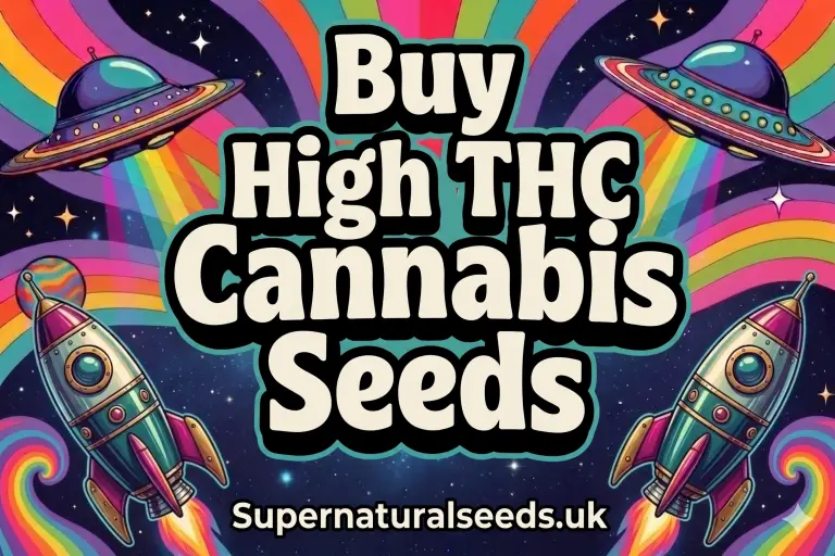 buy high thc cannabis seeds