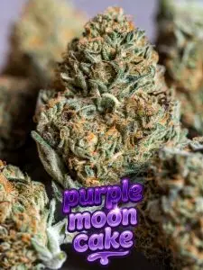 purple mooncake cannabis seeds strain image close up of frosty cannabis nugs