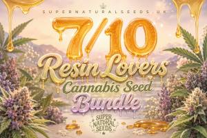 resin lovers seed bundle
