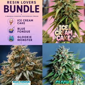 Resin Lovers cannabis seed bundle featuring Ice Cream Cake, Blue Fondue and Glookie Monster feminized photoperiod cannabis strains.