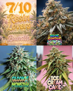 Supernatural Seeds UK 7/10 Resin Lovers Cannabis Seed Bundle collage with frosty cannabis flowers and strain logos for Blue Fondue, Glookie Monster and Ice Cream Cake