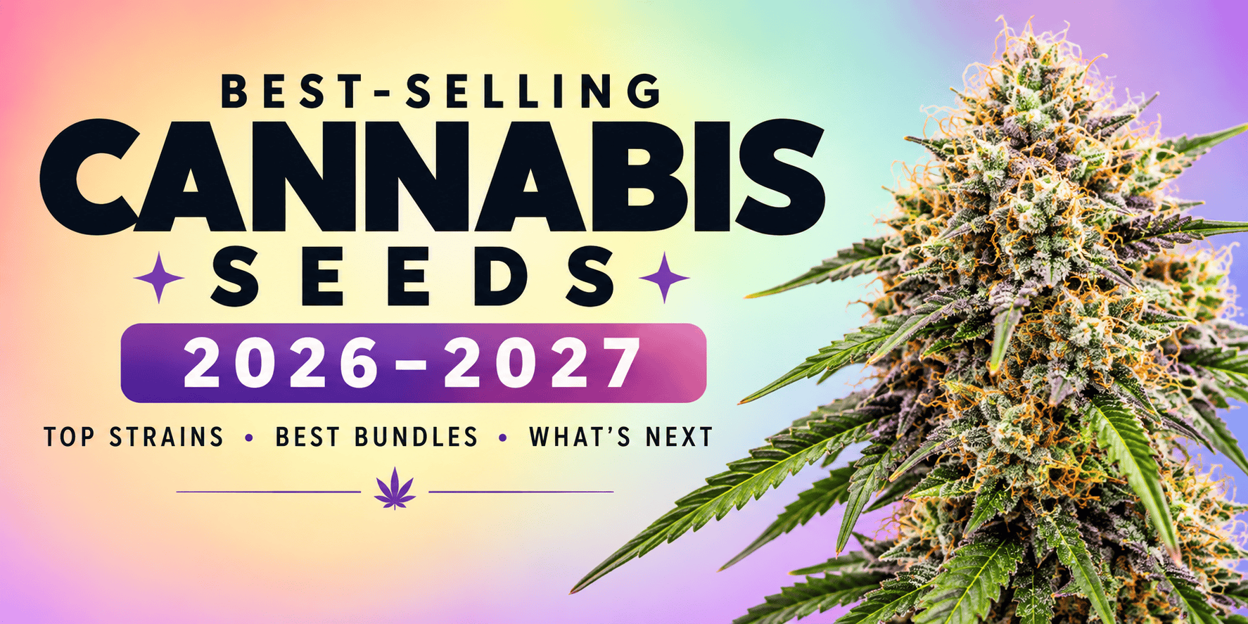 Best Cannabis Seeds UK 2026–2027 blog banner featuring a colourful selection of popular cannabis seed varieties and premium seed bundle branding from Supernatural Seeds.