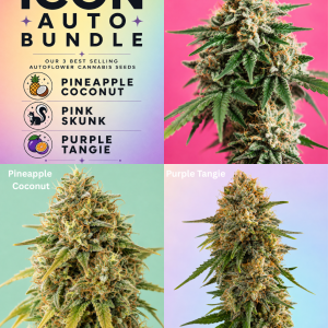 🏆 Buy the Icon Autoflower Cannabis Seed Bundle