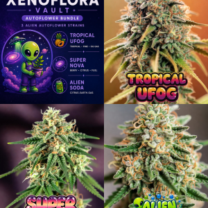 Xenoflora Autoflower Cannabis Seed Bundle featuring Tropical UFOG, Super Nova and Alien Soda, with alien-themed artwork and close-up cannabis flower photography.