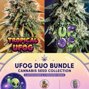 ufog duo cannabis seed bundle